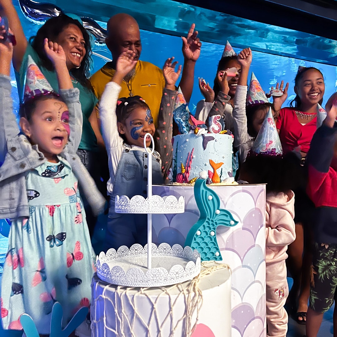 Odysseo birthday parties Odysseo birthday celebration