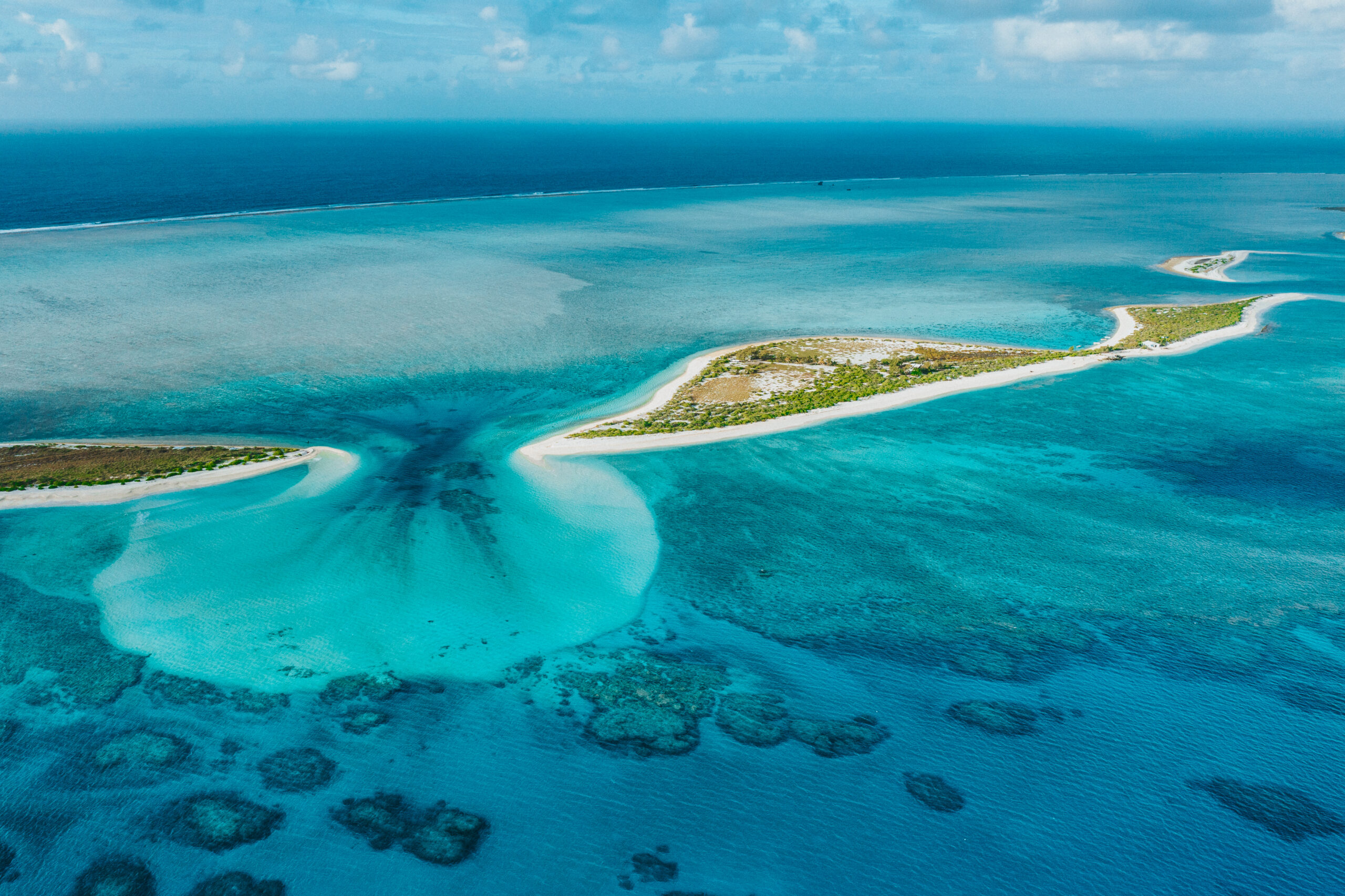 Protecting the Oceans for Future Generations