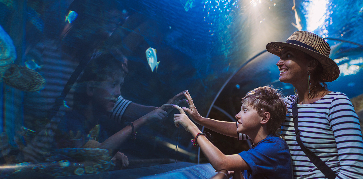 Learn, Love, and Protect Image