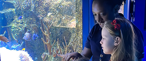 Join a Guided Tour with Marine Educators