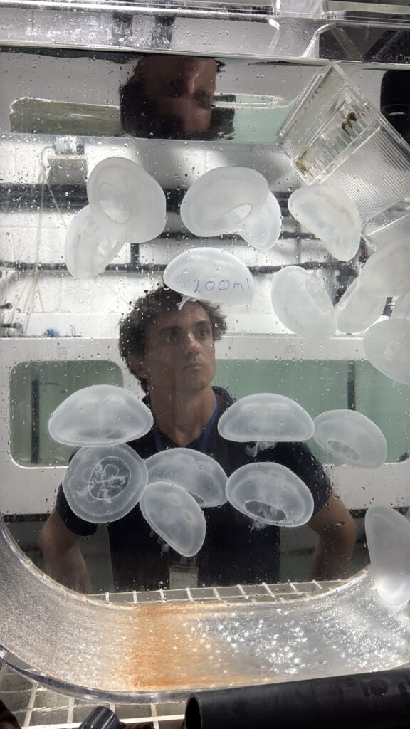 One Day As A Biologist