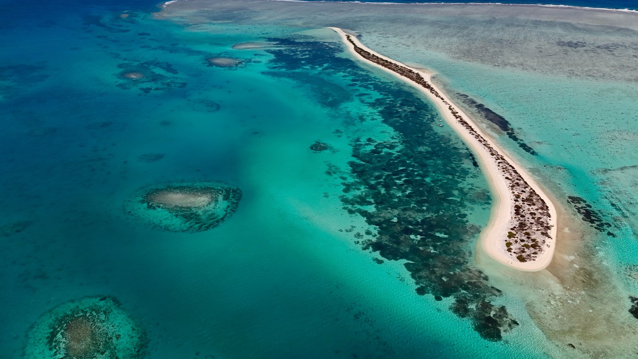 St. Brandon Project <br />
Conservation of a Pristine Archipelago