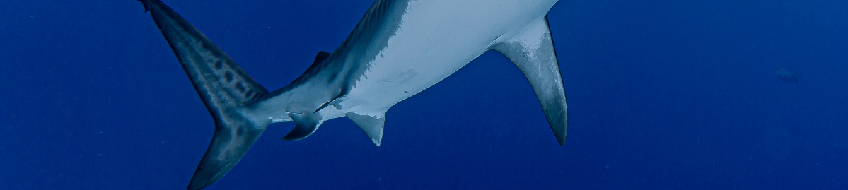 Experience the Magic of Feeding Time