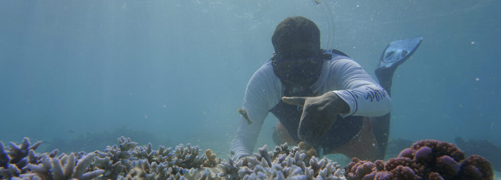 Your Contribution Makes a Real Difference