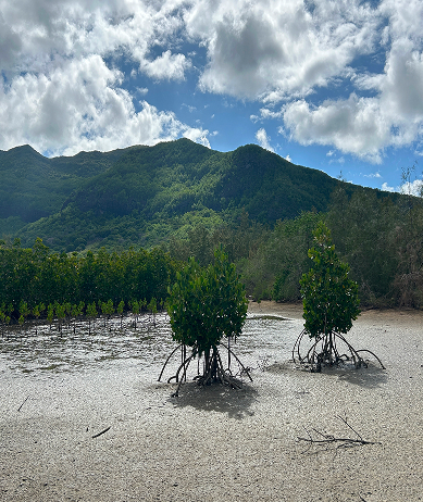 The Odysseo Foundation