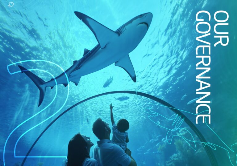 Corporate Governance Report 2025