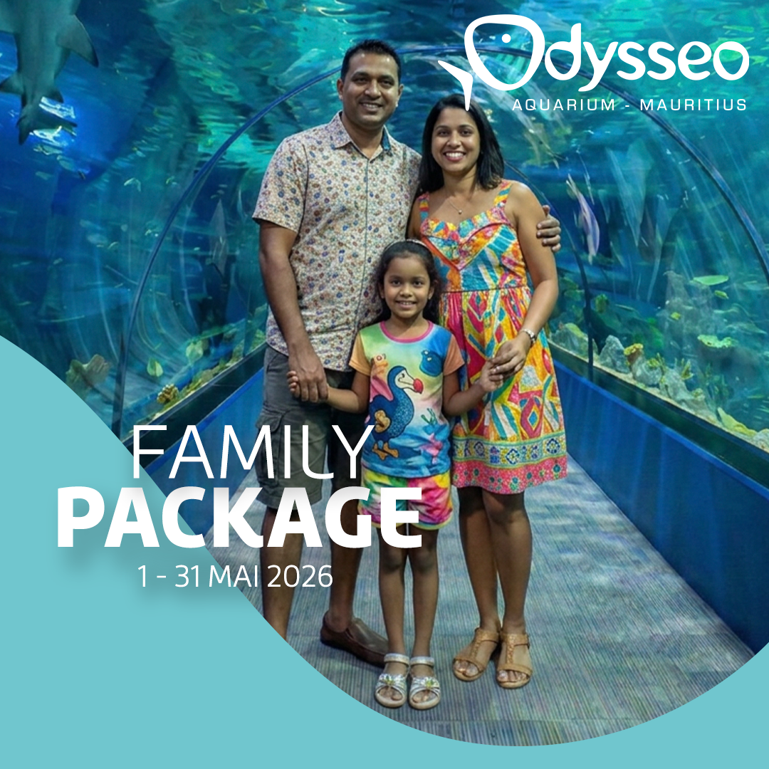Family Package at Odysseo – Best Family Activity in Mauritius