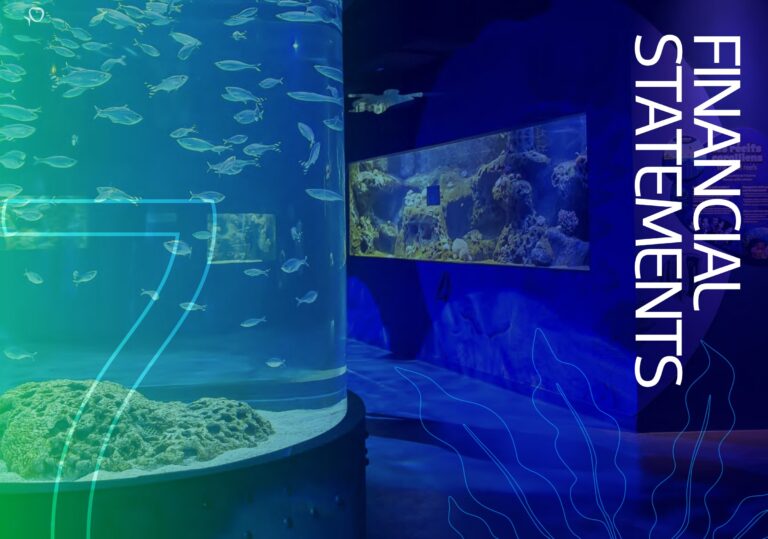 Financial Statements 2025