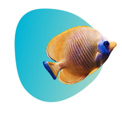 🎟️ Ready for the Adventure?